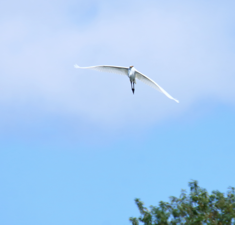 2014 09 07 HTP 85546